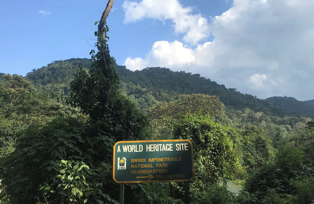 Bwindi Impenetrable Heritage Site